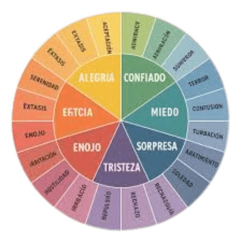 Equilibrio y bienestar
